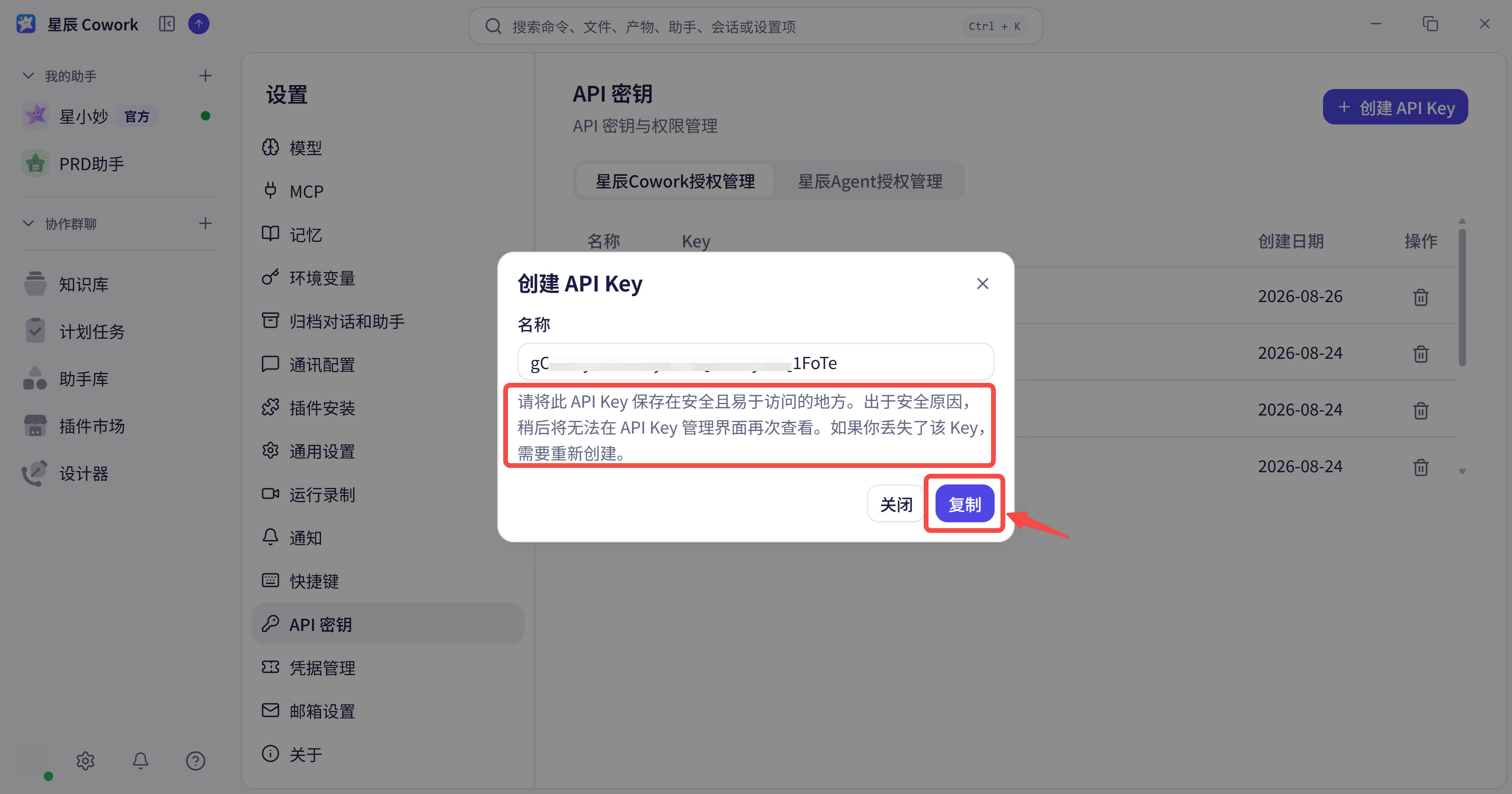 API Key复制界面